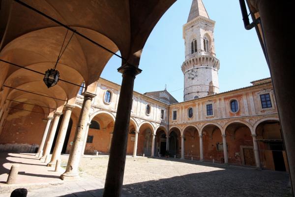 Olivicoltura e tecnologia olearia: novità all’Università di Perugia