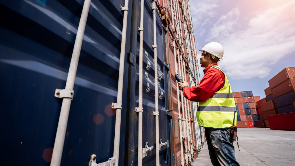 I nuovi mercati dell'olio EVO: oltre l'Europa, le opportunità in Asia e Nord America